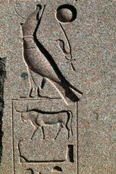 Hiéroglyphe avec le nom d