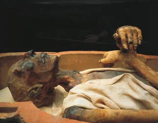 Momie de Ramsès II, détail