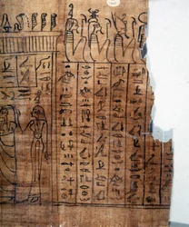 Le Livre des Morts: hiéroglyphe égyptien sur un papyrus
