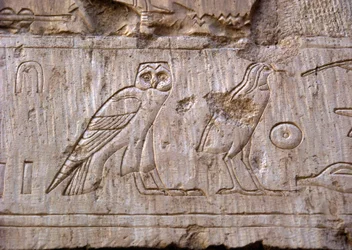Antiquité égyptienne : relief représentant une chouette et un aigle. Tombe d