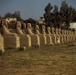 Avenue des Sphinx, ajoutée par Nectanébo I (380-362 av. J.-C.) Période tardive
