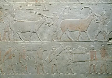 Serviteurs conduisant un oryx et une antilope et d