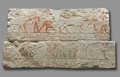Relief de scènes agricoles, de Saqqara, vers 2311-2281 av. J.-C.