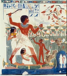 Art égyptien : oiseaux de chasse. Similitude de la tombe de Nakht, époque d