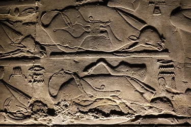 Temple de Louxor : Vaches sacrifiées