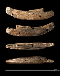 Modèle de bateau, Hiérakonpolis, Période Dynastique Précoce (c. 2950 - c. 2575 av. J.-C.) (ivoire sculpté)