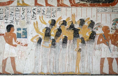 Scène de la procession funéraire, tombe de Ramose