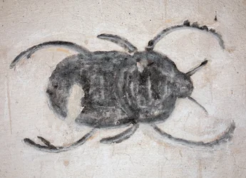 Tombe de Ramsès IX, Vallée des Rois, Louxor