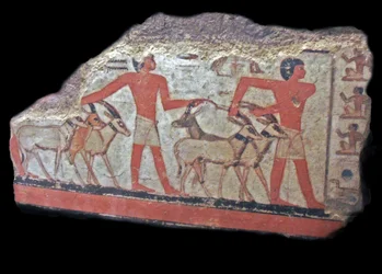 Désert (oryx, gazelles) amenés devant Metchetch. Peinture murale égyptienne ancienne