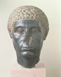 La tête noire de Brooklyn, possiblement de Mitrahineh, Période Ptolémaïque Tardive (vers 50 av. J.-C.) (diorite)