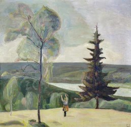 Bouleau et épicéa