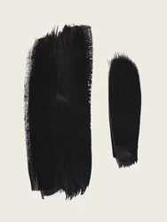 Coups de pinceau noirs abstraits