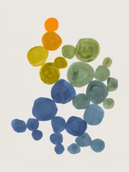 Formes organiques colorées