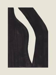 Courbes noires dynamiques