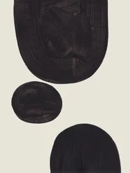 Formes noires organiques