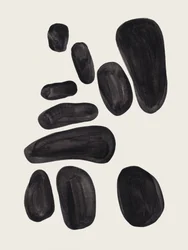 Formes noires organiques
