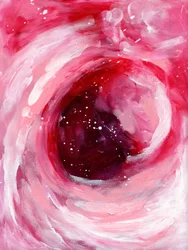 Cosmos roses tourbillonnants