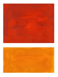 Champs de couleurs éclatantes