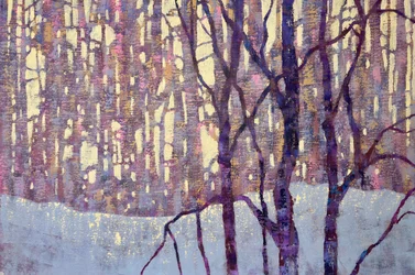 Lueur de la forêt violette