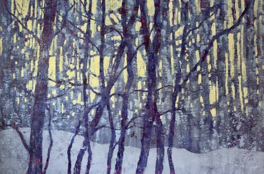 Lumière de la forêt en hiver