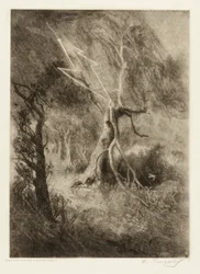 La tragédie d