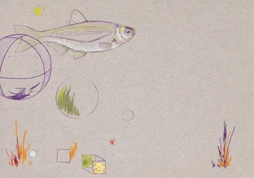 Floating, 2014 (crayon aquarelle et feuille d