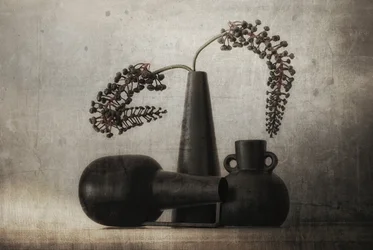 Nature morte aux baies noires
