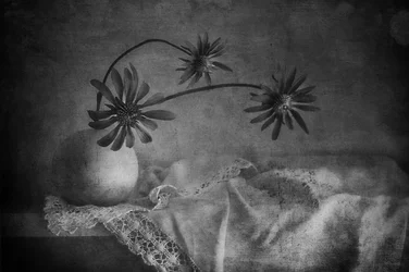 Nature morte florale sombre