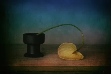 Nature morte élégante à l