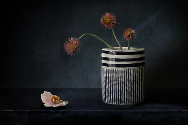 Fleurs épineuses et mélancoliques