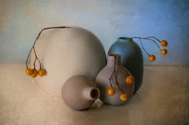 Vases aux teintes douces et baies
