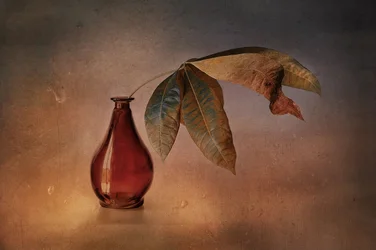 Vase rouge « Feuilles d