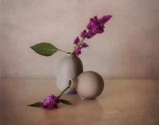 Vases floraux sereins