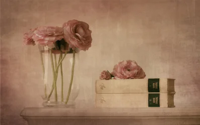 Nature morte aux renoncules rose pâle