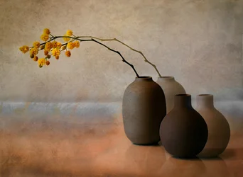 Vases « Mimosa jaune »
