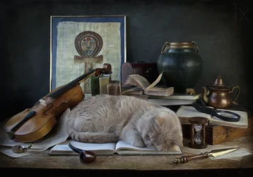 Le bureau du chat endormi