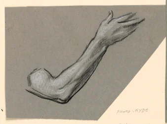 Étude de bras