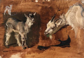 Chèvres