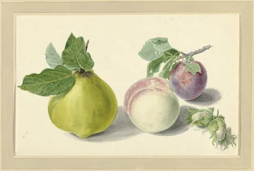 Une poire, une pêche, une prune et des noix