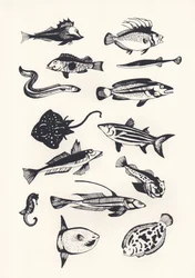 Poisson monochrome