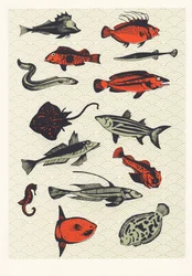Poisson japonais orange, 2015