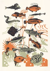 Poisson aux algues orange