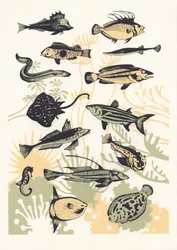 Poisson aux algues pêches, 2015
