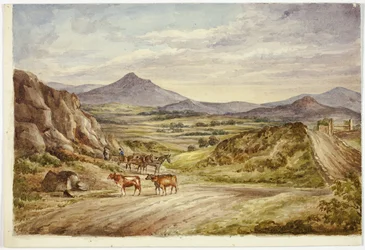 Collines de Wicklow