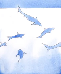 Dieu a créé tout ce qui vit et respire - même les requins et les tarentules, et d