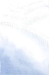 Il est merveilleux qu