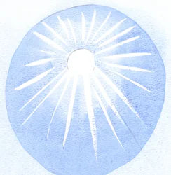 Celui qui est reconnaissant pour le soleil est reconnaissant pour sa chaleur et sa lumière, de même celui qui aime Dieu doit aussi aimer la volonté de Dieu