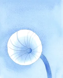 La nourriture que Dieu met à notre disposition doit être considérée comme un carburant pour notre voyage sur terre, 2005 (aquarelle sur papier)