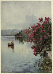 Lauriers roses, Lago di Como, Illustration de 