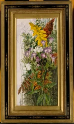 Fleurs sauvages